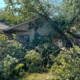 Trees that have fallen on a house after a storm.