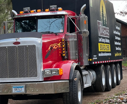 A tree removal truck outside of a client’s home.