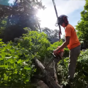 A man using a chainsaw to cut up a tree.