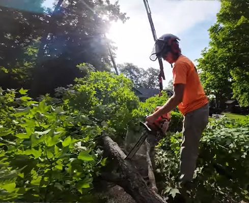 A man using a chainsaw to cut up a tree.