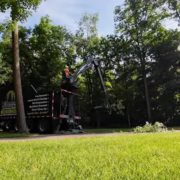 A land clearing company using a crane arm to put tree trimmings in a dump truck.