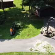 A man on a mini-excavator is clearing brush near a stack of fresh logs.