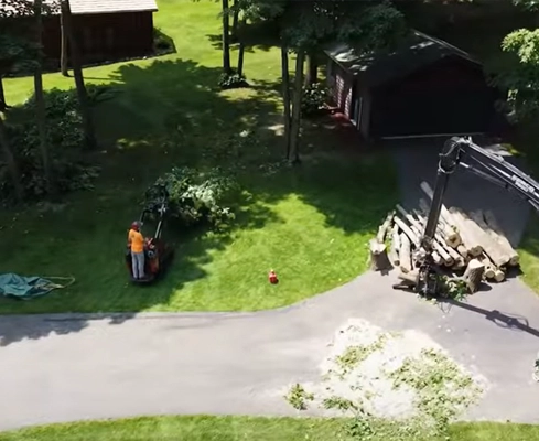 A man on a mini-excavator is clearing brush near a stack of fresh logs.