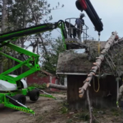 A fallen tree resting on the roof of a house.