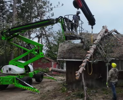 A fallen tree resting on the roof of a house.