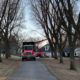 A tree trimming company using special equipment to trim trees along a driveway.