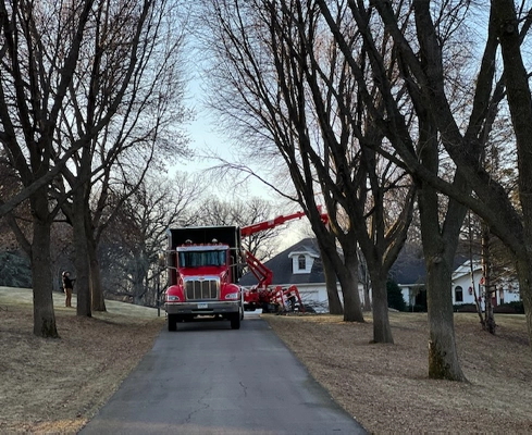 A tree trimming company using special equipment to trim trees along a driveway.
