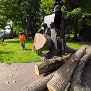 A crane claw being used by a tree removal company to pick up large trees.