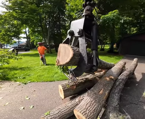 A crane claw being used by a tree removal company to pick up large trees.