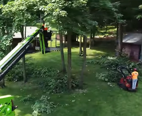 trimmingInGreenLiftBlog A man trimming trees in a green lift.