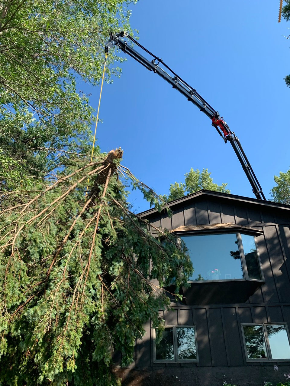 tree-trimming Minnesota lake cabin emergency tree removal with the Tree-MEK machine